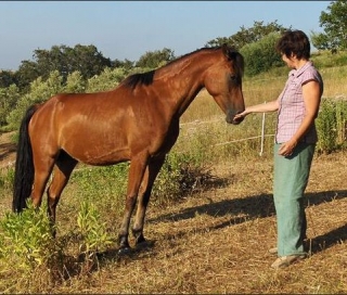  Maravillosos ejemplares